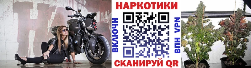 Галлюциногенные грибы Карасук