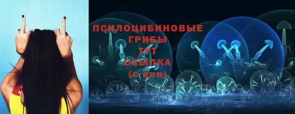 бошки Абдулино