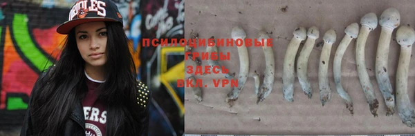 бошки Абдулино