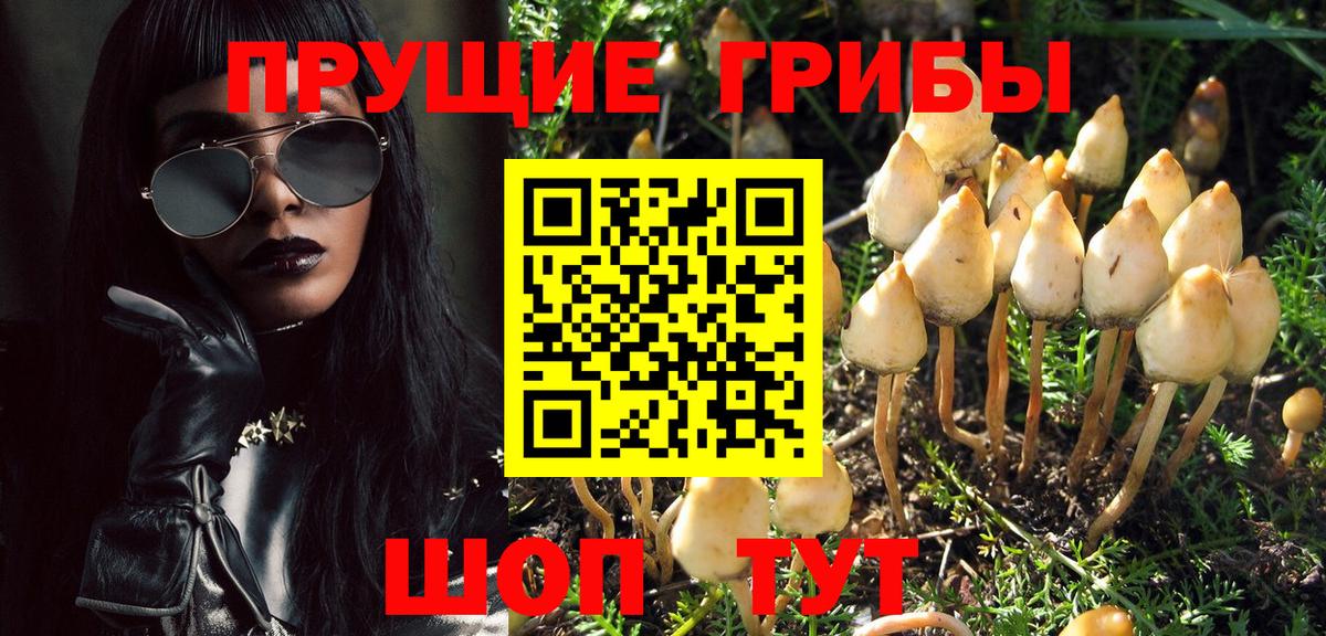 Псилоцибиновые грибы MAGIC MUSHROOMS  Вход с VPN  Карасук  где продают наркотики  Псилоцибиновые грибы ЛСД 